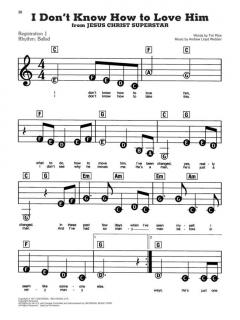 The Andrew Lloyd Webber Sheet Music Collection (Big Note) 