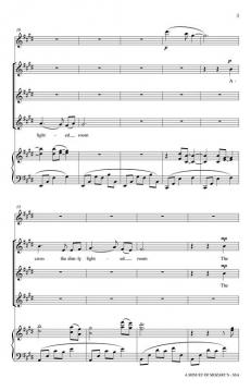 A Minuet Of Mozart's von Kelsey Hohnstein-Reinhart 