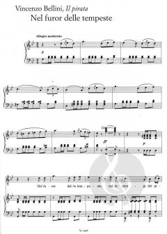 Willkommen in der Oper (Tenor) 