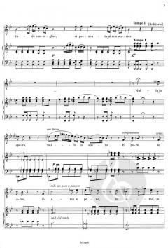 Willkommen in der Oper (Tenor) 