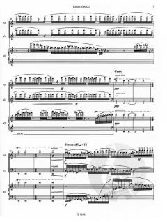 Canto sferico (Manuela Kerer) 