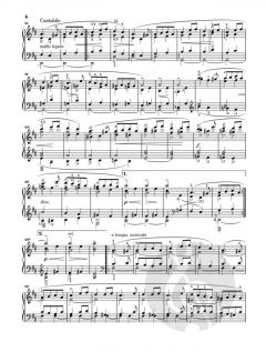 Norwegische Tänze op. 35 von Edvard Grieg 