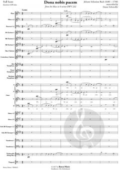 Dona nobis pacem (J.S. Bach) 
