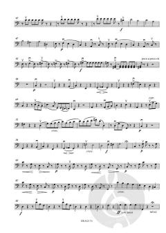 Konzert Nr. 1 a-moll von Jean-Baptiste Accolay 