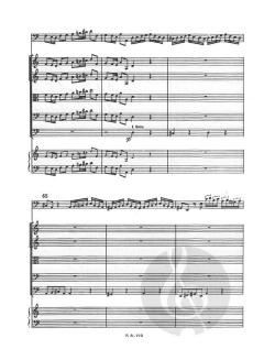 Concerto A Minor Bassoon Strings Continuo Rv499 Score Fviii#12 T223 (Antonio Vivaldi) 