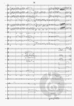 Aurora Borealis (Rossano Galante) 