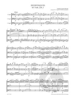 Divertimento G-Dur KV229,3 von Wolfgang Amadeus Mozart 