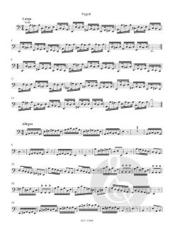 Konzert a-Moll RV499 für Fagott, Streicher - und Bc im Alle Noten Shop kaufen