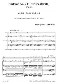 Sinfonie Nr.6 op. 68 (Auszüge) 