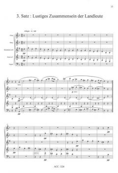 Sinfonie Nr.6 op. 68 (Auszüge) 