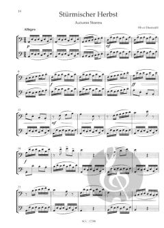 Flotte Fagotte Band 2 von Oliver Hasenzahl im Alle Noten Shop kaufen