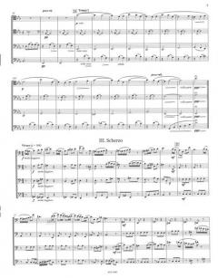 Allegro, Nocturne und Scherzo von Zilvinas Smalys 