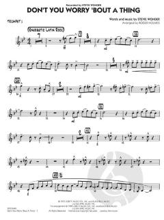 Don't You Worry 'Bout A Thing (Stevie Wonder) 