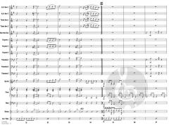 Groove Bug von Michael Sweeney 