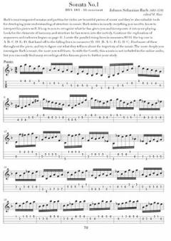 The 100-Techniques & Exercises for Mandolinists von Marilynn Mair im Alle Noten Shop kaufen