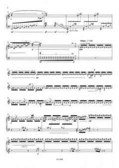 Chasing the Wind II von Yue Jia für Guzheng solo im Alle Noten Shop kaufen