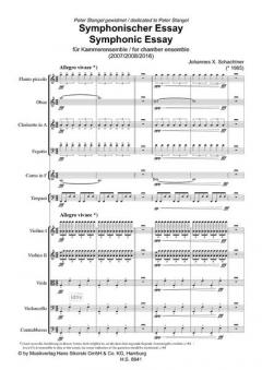 Symphonischer Essay (Johannes X. Schachtner) 
