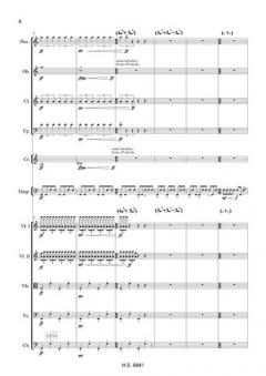 Symphonischer Essay (Johannes X. Schachtner) 