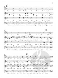 Weihnachtslieder für gemischten Chor 