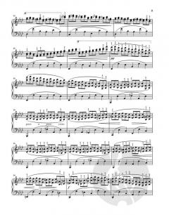 Arrangements von Werken anderer Komponisten für Klavier zu 2 Händen oder für die linke Hand allein - mit Kritischem Bericht von Johannes Brahms im Alle Noten Shop kaufen