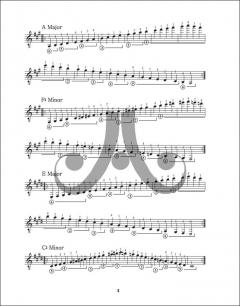 Diatonic Major and Minor Scales for the Modern Guitarist von Jamey Aebersold 