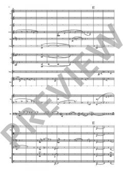 Double Bass Concerto von Gavin Bryars 