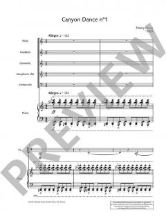 Canyon Dance 1 von Thierry Pecou 