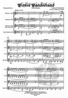 Winter Wonderland von Felix Bernard 