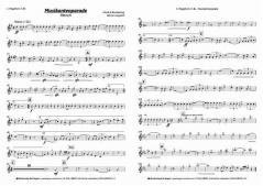 Musikantenparade (Werner Jungwirth) 