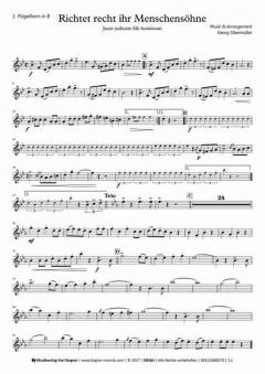 Richtet recht ihr Menschensöhne (Georg Obermüller) 