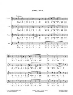 Kritische Gesamtausgabe 3: Geistliche Chorwerke 