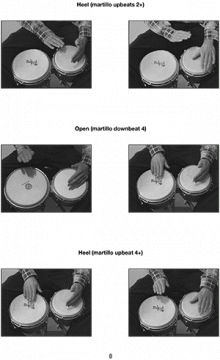 First Lessons Bongo von Trevor Salloum 