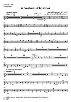A Praetorius Christmas (Michael Praetorius) 