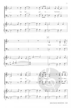 Hold Back The River (James Bay) 