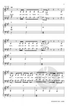 Stand By You (Rachel Platten) 