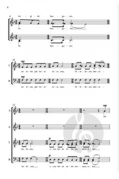 Muusika (Music) von Cyrillus Kreek 