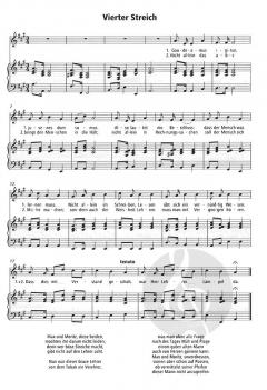 Ein Bach im Busch von Johannes Pöld 