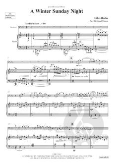 A Winter Sunday Night von Gilles Rocha 