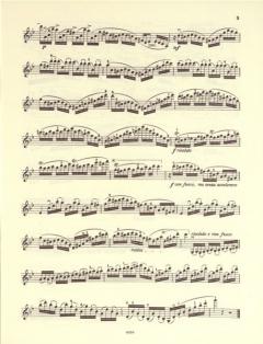 20 études brillantes op. 73 von Charles Jean-Baptiste Dancla 