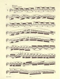 20 études brillantes op. 73 von Charles Jean-Baptiste Dancla 