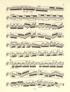 20 études brillantes op. 73 von Charles Jean-Baptiste Dancla 