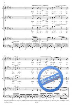 Chor der Gefangenen aus Nabucco (Giuseppe Verdi) 