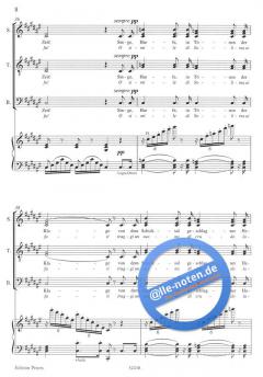 Chor der Gefangenen aus Nabucco (Giuseppe Verdi) 