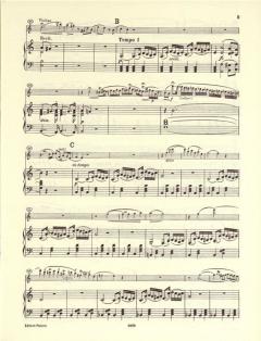 Konzert Nr. 8 a-moll op. 47 von Louis Spohr 