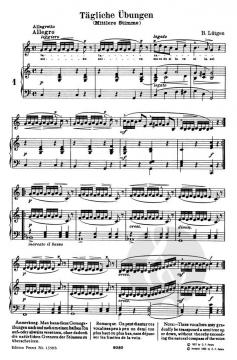 Die Kunst der Kehlfertigkeit Band 1 von B. Lütgen 