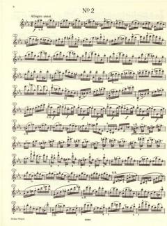 24 Etüden für Violine solo von Pierre Gaviniès im Alle Noten Shop kaufen