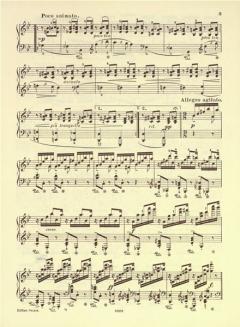 Ballade für Klavier op. 24 von Edvard Grieg für Klavier im Alle Noten Shop kaufen