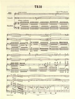 Trio g-Moll op. 63 (Carl Maria von Weber) 