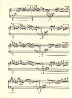 Etüden von Frédéric Chopin für Klavier im Alle Noten Shop kaufen