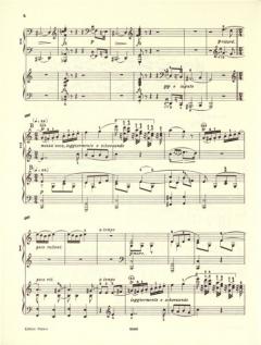 Rondo op. 73 von Frédéric Chopin für zwei Klaviere im Alle Noten Shop kaufen